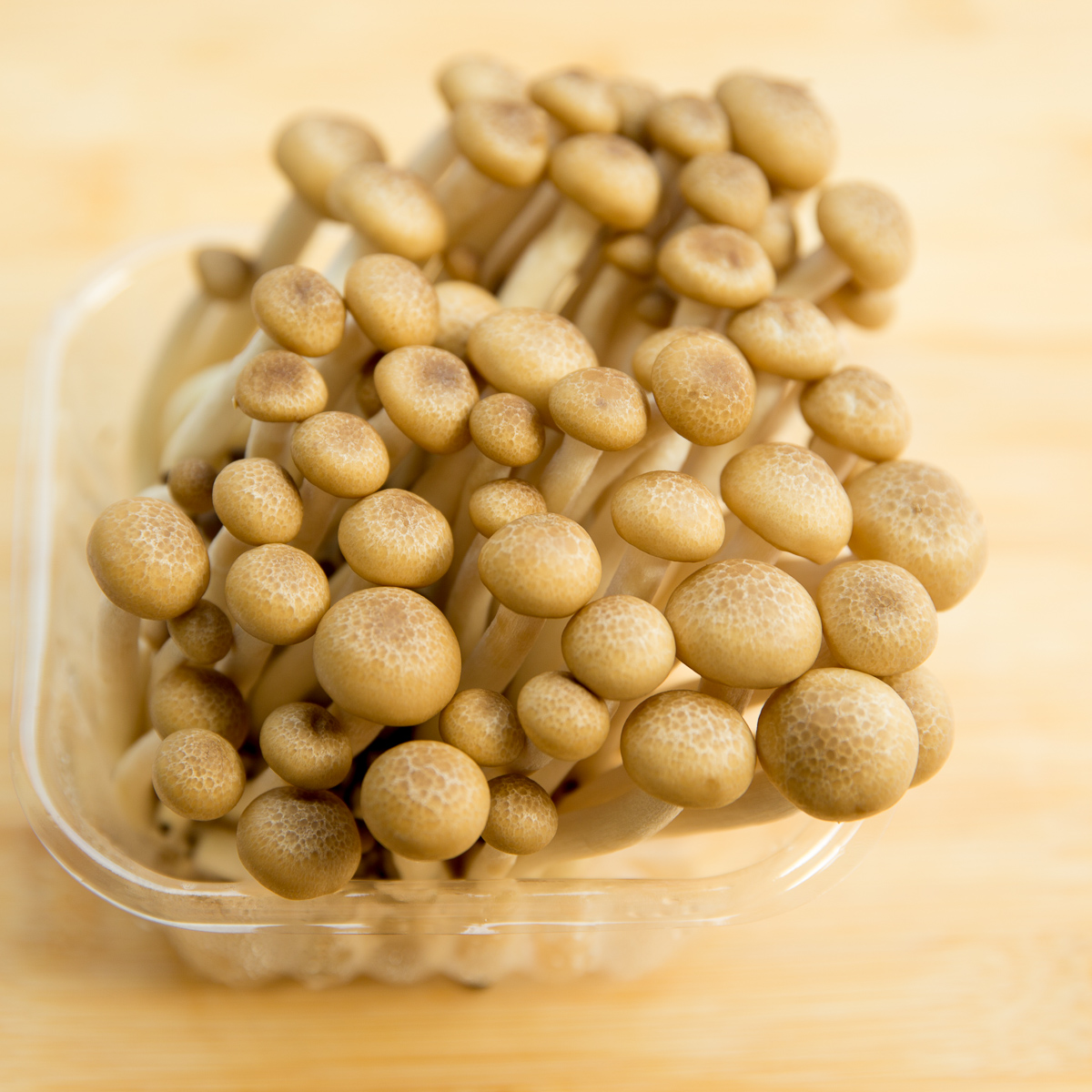 Маринованные грибы шимеджи (Brown Beech Mushroom) — Готовим со Светланой